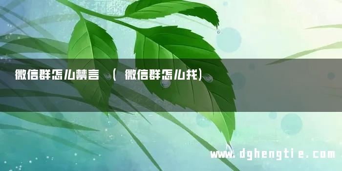 微信群怎么禁言 (微信群怎么找)